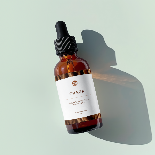 Chaga