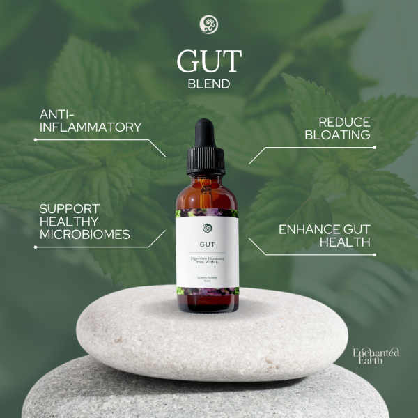Gut - Image 3