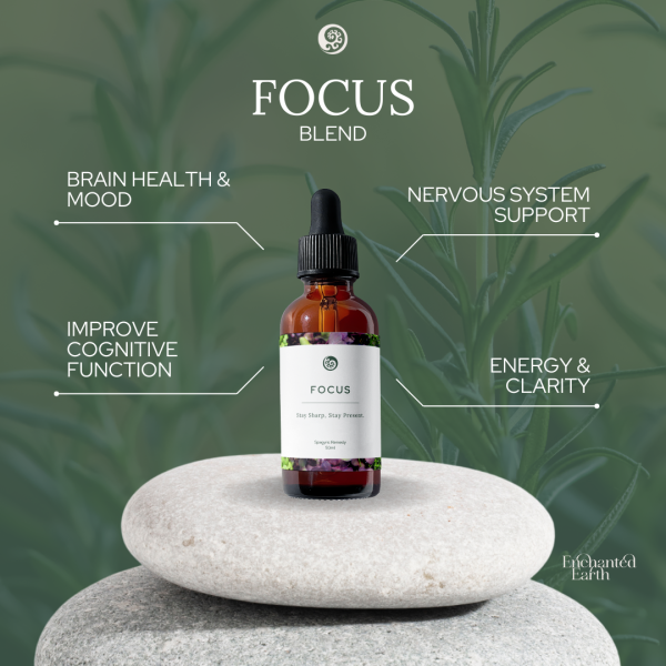 Focus - Image 3