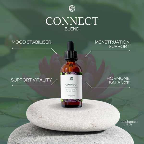 Connect - Image 3